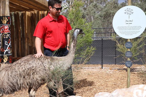 Blue Mountains Nature And Wildlife Day Tour From Sydney - SA Accommodation 5