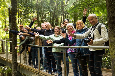 All Inclusive Blue Mountains Small-Group Day Trip From Sydney - SA Accommodation 5