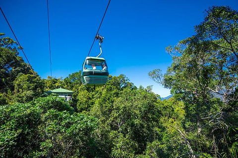 Skyrail Rainforest Cableway Day Trip From Cairns - SA Accommodation 1