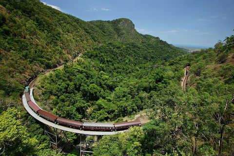 Skyrail Rainforest Cableway Day Trip From Cairns - SA Accommodation 5