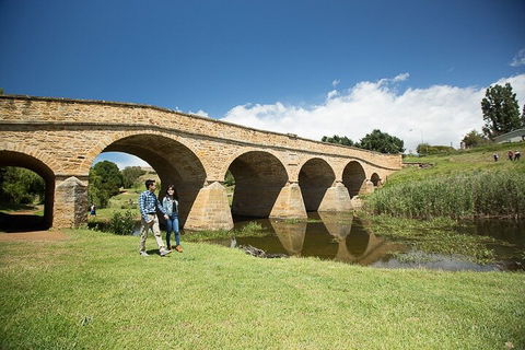Bonorong Wildlife Park And Richmond Afternoon Tour From Hobart - SA Accommodation 0