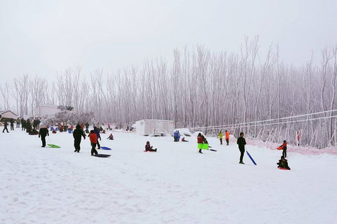 Private Mount Buller Snow And Ski Tour From Melbourne - SA Accommodation 1