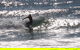 Private Surf Coaching Session In New South Wales - thumb 0