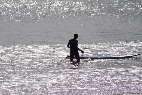 Private Surf Coaching Session In New South Wales - SA Accommodation 2