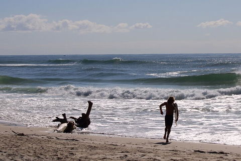 Private Surf Coaching Session In New South Wales - SA Accommodation 3