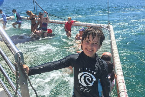 Port Stephens Private Tour From Sydney, With Dolphin/ Whale Cruise Options - SA Accommodation 0