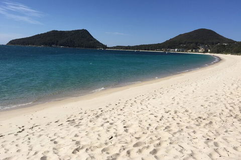 Port Stephens Private Tour From Sydney, With Dolphin/ Whale Cruise Options - SA Accommodation 2
