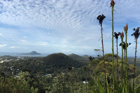 Port Stephens Private Tour From Sydney, With Dolphin/ Whale Cruise Options - SA Accommodation 3