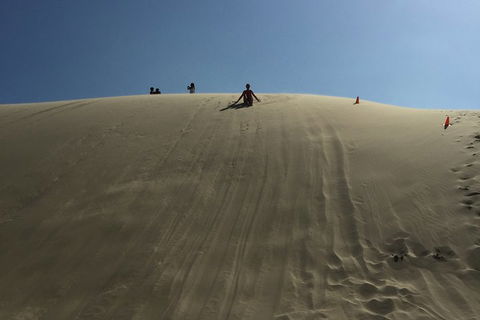 Port Stephens Private Tour From Sydney, With Dolphin/ Whale Cruise Options - SA Accommodation 5