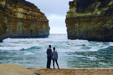 Great Ocean Road Small-Group Ecotour From Melbourne - SA Accommodation 1