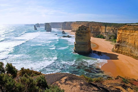Great Ocean Road Small-Group Ecotour From Melbourne - SA Accommodation 2