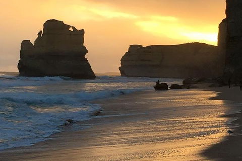 Great Ocean Road Small-Group Ecotour From Melbourne - SA Accommodation 5