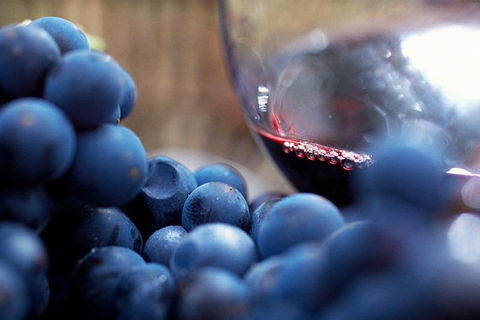 The Ultimate Yarra Valley Food And Wine Small Group Tour (Max 6 Guests) - SA Accommodation 3