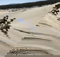 Port Stephens Bush Beach and Sand Dune 4WD Tag-Along Tour - SA Accommodation