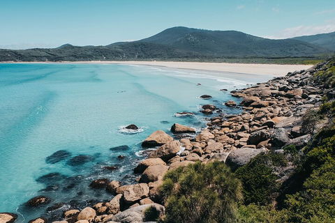 Private Wilsons Promontory Hiking Tour From Melbourne - SA Accommodation 0