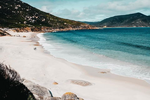 Small Group - Wilsons Promontory Hiking Day Tour From Melbourne - SA Accommodation 2