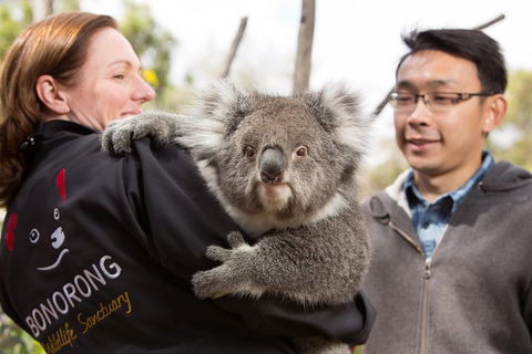 Bonorong Wildlife Park And Richmond Afternoon Tour From Hobart - SA Accommodation 0