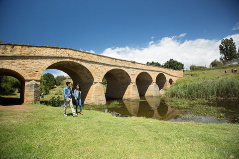 Bonorong Wildlife Park And Richmond Afternoon Tour From Hobart - SA Accommodation 2
