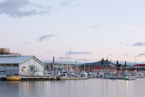 Hobart City Sightseeing Tour Including MONA Admission - SA Accommodation 4