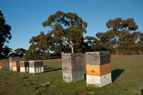 Fine Flavours - Full Day Kangaroo Island Food & Wine Tour - SA Accommodation 1