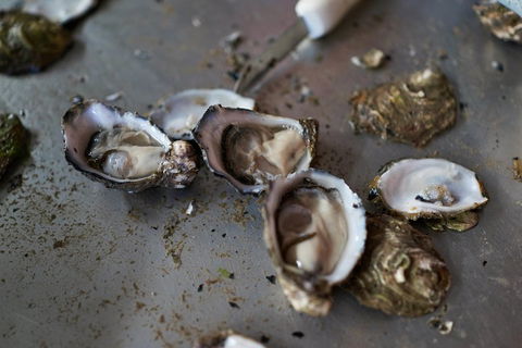 Fine Flavours - Full Day Kangaroo Island Food & Wine Tour - SA Accommodation 2