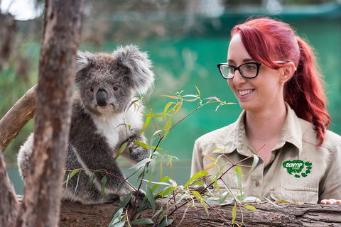 Small-Group Phillip Island Penguin Parade Day Tour From Melbourne - SA Accommodation 0