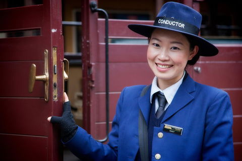 Puffing Billy, Moonlit Sanctuary & Penguins Day Tour - SA Accommodation 1