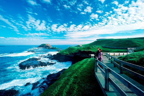 Puffing Billy, Moonlit Sanctuary & Penguins Day Tour - SA Accommodation 2