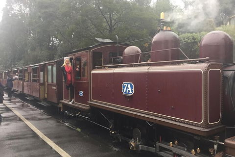 Puffing Billy, Moonlit Sanctuary & Penguins Day Tour - SA Accommodation 4