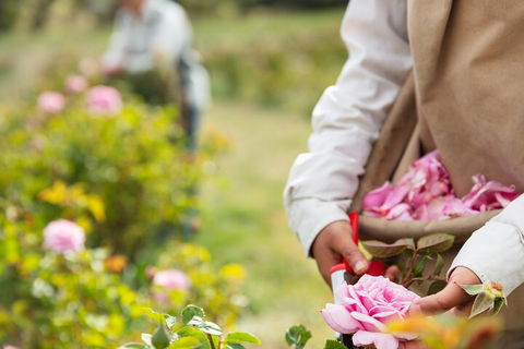 3 Days Adelaide Hills Wellness Escape - SA Accommodation 3