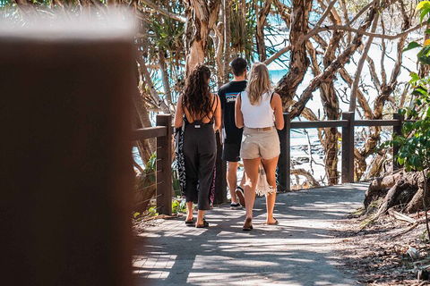 Sunshine Coast Hinterland And Noosa Day Trip From Brisbane Including Eumundi Markets And Ginger Factory - SA Accommodation 4