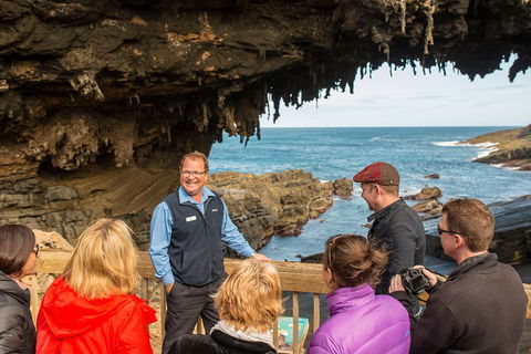 Kangaroo Island In A Day Tour From Adelaide - SA Accommodation 3