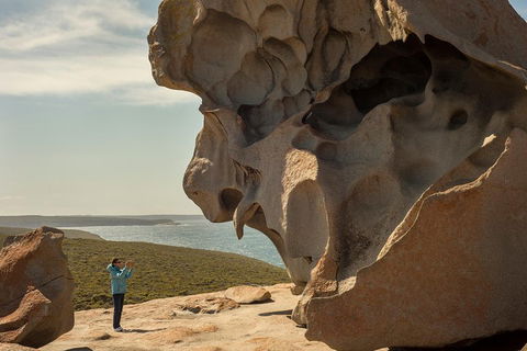 Kangaroo Island In A Day Tour From Adelaide - SA Accommodation 5