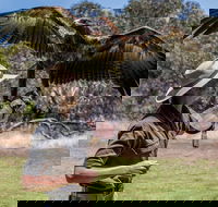 One Day Kangaroo Island Sip  See tour with return ferry transfers from Adelaide - SA Accommodation