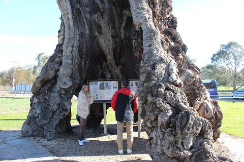 Barossa And Hahndorf Day Trip From Adelaide Including Wine Tasting And Lunch - SA Accommodation 1