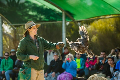 Full Day Kangaroo Island Sip And See Tour Departing From Kangaroo Island - SA Accommodation 1