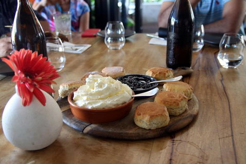 Small-Group Afternoon Cairns City Tour With Harbour Dinner Cruise - SA Accommodation 3