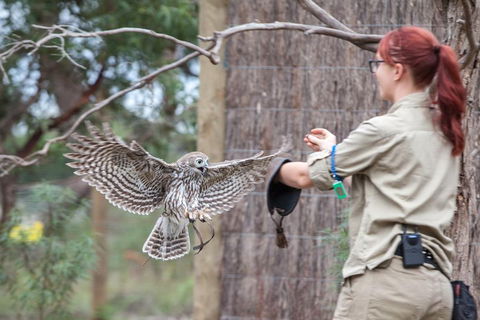 Moonlit Sanctuary Wildlife Conservation Park Daytime General Entry Ticket - SA Accommodation 1