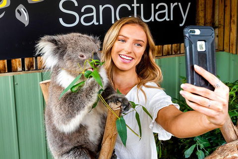 Moonlit Sanctuary Wildlife Conservation Park Daytime General Entry Ticket - SA Accommodation 4