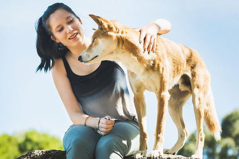 Moonlit Sanctuary Wildlife Conservation Park Daytime General Entry Ticket - SA Accommodation 5