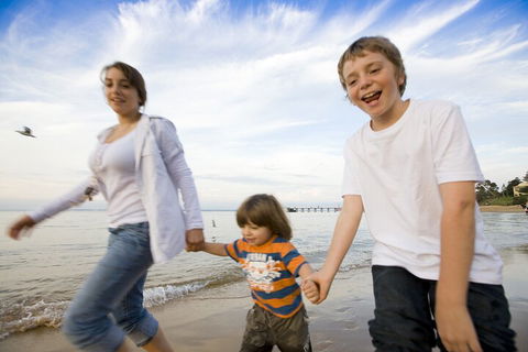 Phillip Island Penguin And Koala Highlights Day-Trip From Melbourne - SA Accommodation 0