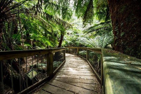 Melbourne To Adelaide South East Coast 3 Day Overland Tour - SA Accommodation 1