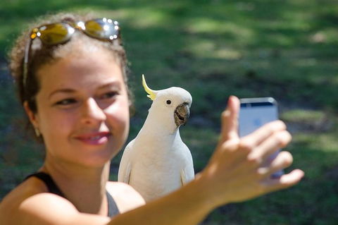 Melbourne To Adelaide South East Coast 3 Day Overland Tour - SA Accommodation 3