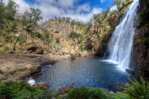 Melbourne To Adelaide South East Coast 3 Day Overland Tour - SA Accommodation 4