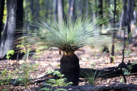 Small-Group Grampians Great Wilderness Escape Day Trip With Hiking - SA Accommodation 2