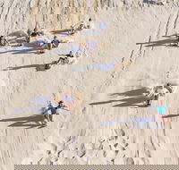 Unlimited Sandboarding - SA Accommodation