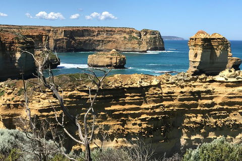 Great Ocean Road Reverse Itinerary Tour - SA Accommodation 1