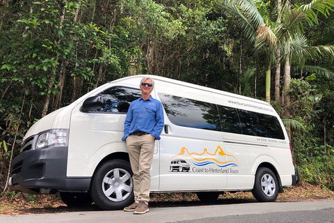 Sunshine Coast Hinterland Rainforest, Views And Montville Day Tour Inc. Lunch - SA Accommodation 1