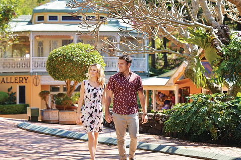 Sunshine Coast Hinterland Rainforest, Views And Montville Day Tour Inc. Lunch - SA Accommodation 4