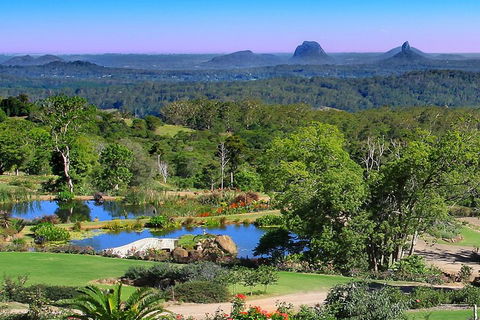 Sunshine Coast Hinterland Rainforest, Views And Montville Day Tour Inc. Lunch - SA Accommodation 5